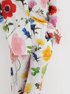 Hannoh Pant Potamia